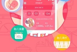 孕期小助手（孕期小助手）