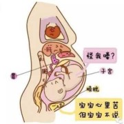 胎儿女孩有膀胱吗（胎儿女孩有膀胱吗?）