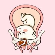 33周入盆，会不会早产，得注意什么,33周下腹部最低端隐隐痛
