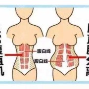 孕期腹直肌（孕期腹直肌的变化图片）