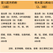 胎儿发育营养需求（胎儿发育营养需求表）