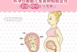 8个月胎儿由女变男（八个月男胎为什么能看成女胎）