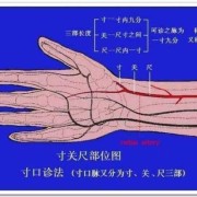 把脉能看出胎儿健康吗（把脉能看出胎儿健康吗）