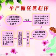 母婴保健法规定孕产妇保健技术服务有哪些,孕前和孕期保健指南(2018)