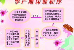 母婴保健法规定孕产妇保健技术服务有哪些,孕前和孕期保健指南(2018)