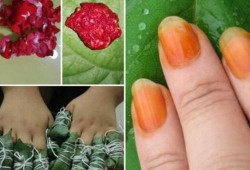 怀孕期间染发了怎么办（指甲花怀孕可以染）