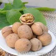 孕期补脑食物有哪些（健脑十大食物排名）