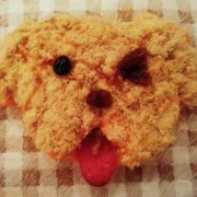 狗狗可以吃肉松面包吗,孕期可以吃肉松面包吗?