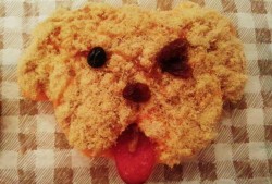 狗狗可以吃肉松面包吗,孕期可以吃肉松面包吗?