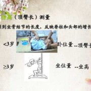 婴儿坐几个月可以坐呢？8个月宝宝能坐住吗,胎儿坐高是什么意思
