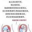 胎儿子宫（胎儿子宫前壁和后壁哪个好）