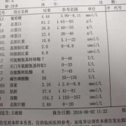 孕期尿素氮偏低（孕期尿素氮偏低是怎么回事）