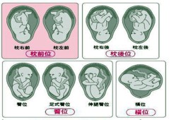 28周胎儿头朝上还是下（怀孕全过程是怎样的？一共分为多少个阶段呢）