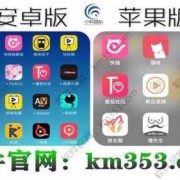 记录孕期的软件（想要一款记录孕猫的app，求推荐）