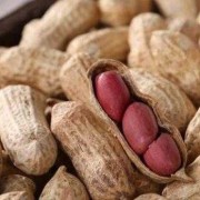 孕妇可以吃熟花生吗？孕妇吃熟花生有好处吗,孕期可以吃花生吗?