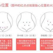 胎儿多少周有胎心（婴儿第几周有胎心）