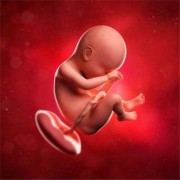 怀孕38周胎儿有多大（怀孕38周胎儿有多大视频）