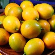 孕妇吃金桔对胎儿好吗（孕妇吃金桔对胎儿好吗）