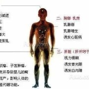 辐射对怀孕的人有多大的影响,胎儿 辐射
