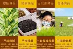 孕妇能吃芝麻盐吗？怀孕之后饮食需要注意哪些事项,孕妇怀孕期间吃什么好才有营养