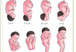 刚出生的宝宝的头都是仰着的吗,胎儿仰着是什么姿势