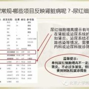 细菌感染,血象高是什么原因,孕期尿常规细菌偏高怎么办