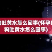 怀孕吐黄水要治疗吗,孕期呕吐黄水发苦是什么原因