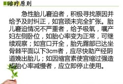 宫内窘迫是什么意思,胎儿宫内窘迫怎么办呢
