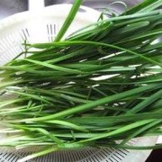 孕期吃韭菜（孕期吃韭菜对宝宝有什么影响）