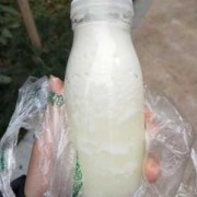 孕期喝了过期的牛奶（牛奶什么样是变质？喝了不过期但变质的牛奶后果会怎样）
