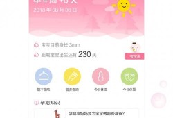 记录孕期的app（记录孕期的app有哪些）