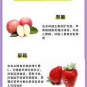 孕妇可以吃十三香吗,孕期什么水果不能吃哪些水果少吃