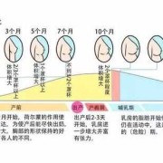 孕期乳头变化（孕期乳头变化的原因）