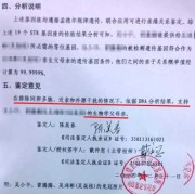 胎儿dna鉴定（怀孕初期查dna怎么查，怀孕几个月可以）