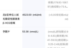 请问，孕妇怀孕时血液中可以检测出胎儿DNA,胎儿鉴别验血报告