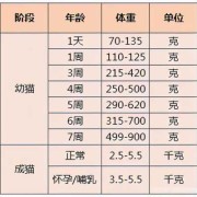 猫咪怀孕体重会增加多少正常,整个孕期增重多少正常值