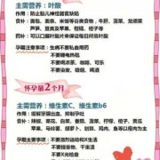 孕期加强营养（孕期加强营养）