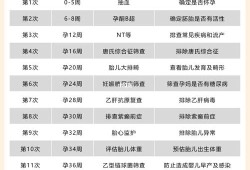 孕期无创dna是查什么，什么时间段合适,怀孕整个孕期检查项目表