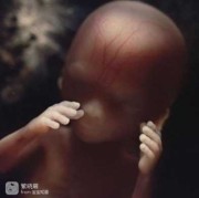 四个月胎儿有多大（四个月胎儿有多大了图片）