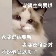 孕期惹老婆生气的男人（孕期惹老婆生气的男人可以原谅吗）