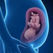 怀孕28周胎儿的头在哪（怀孕28周胎儿的头在哪）
