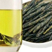 孕期可以喝苦丁茶吗（孕期可以喝苦丁茶吗?）