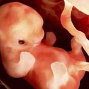 怀孕37周宝宝动的厉害怎么办呢？这几天发现孩子在肚子里动得,胎儿在肚子动得厉害正常吗