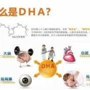 孕期吃dha有什么好处（孕期吃dha有什么好处和坏处）