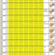 孕期万能表（孕期万能表excel）
