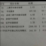 甲减胎儿小（孕五个月，查出甲减，会影响胎儿智力发育吗）