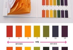 酸碱度7什么意思,孕期酸碱度7.0是男孩女孩?