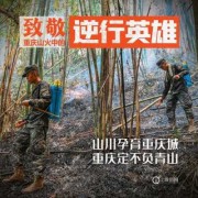 发宝宝视频文案吸引人的句子,怀孕3个月胎儿视频直播