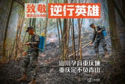 发宝宝视频文案吸引人的句子,怀孕3个月胎儿视频直播