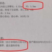 胎儿nf（有懂孕期NF增厚的大神吗）